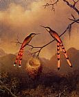 Martin Johnson Heade Canvas Paintings - Two Hummingbirds with Their Young